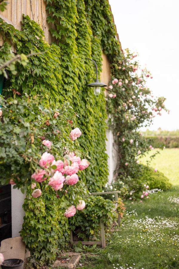 La Casa Vecchia B&B Camisano Vicentino Kültér fotó