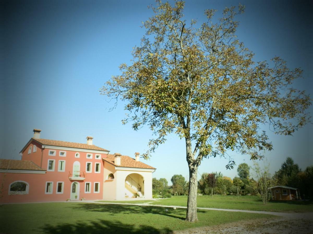 La Casa Vecchia B&B Camisano Vicentino Kültér fotó