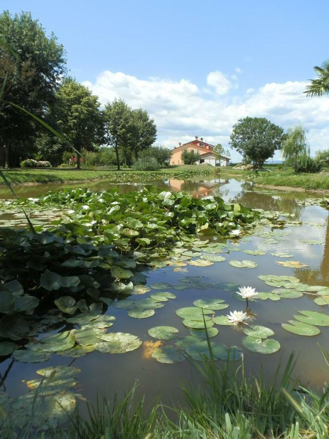 La Casa Vecchia B&B Camisano Vicentino Kültér fotó